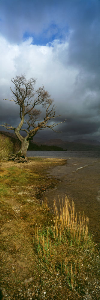 Herve Sentucq - Loch Lomond & Trossachs, Ecosse