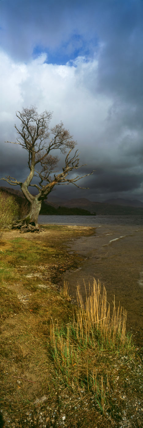 Loch Lomond & Trossachs, Ecosse