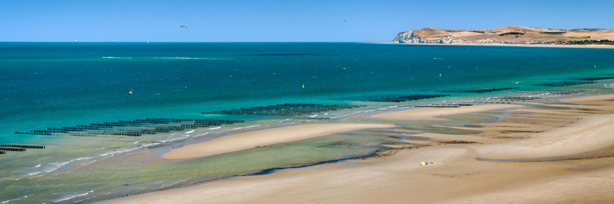 Plage de sable, mer turquoise et Cap Blanc Nez, Wissant, Côte d'opale