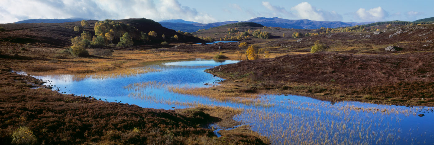 Herve Sentucq - Glen Convith