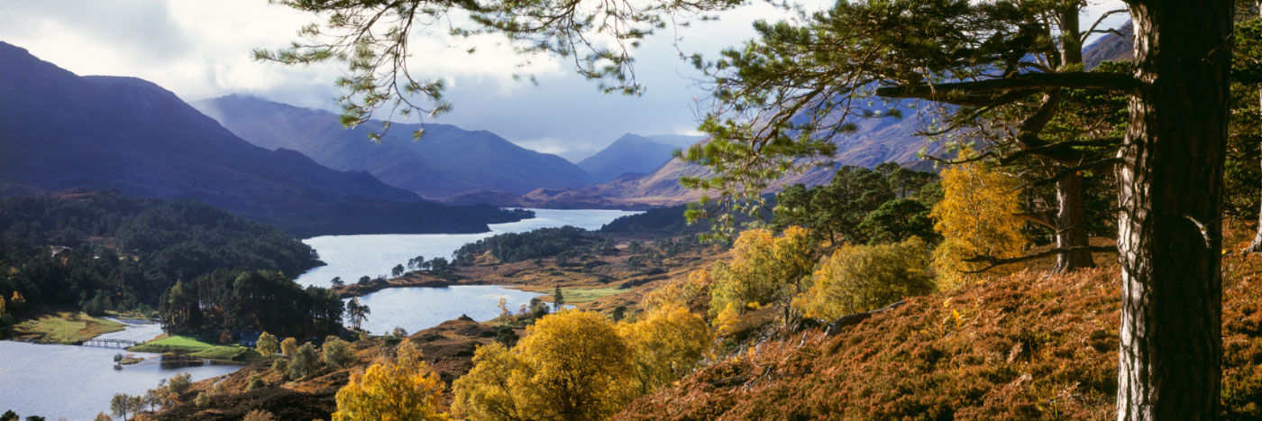 Herve Sentucq - Loch Affric