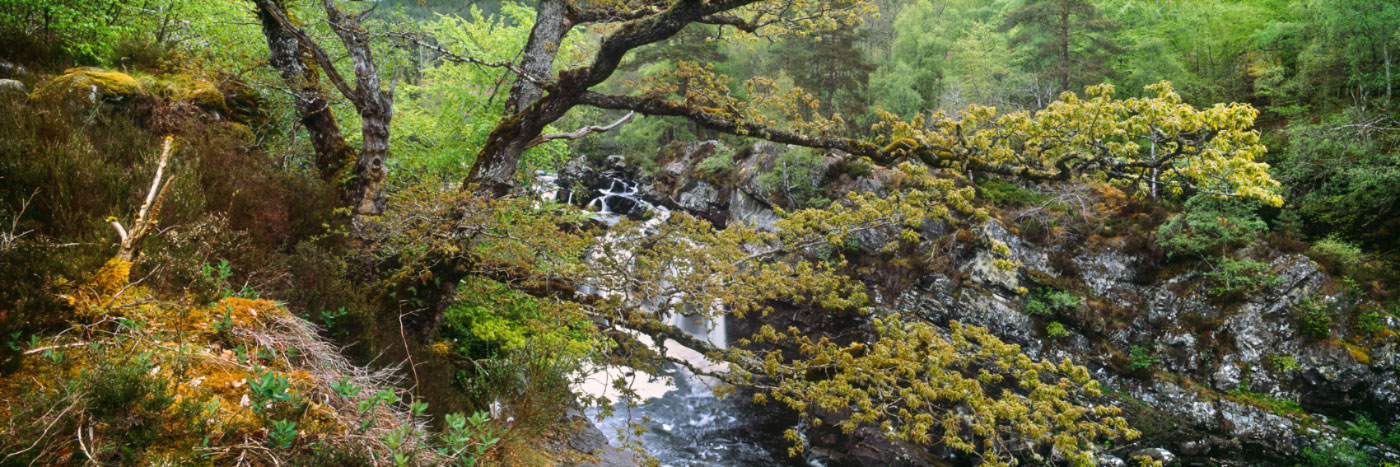 Herve Sentucq - Rogie Falls