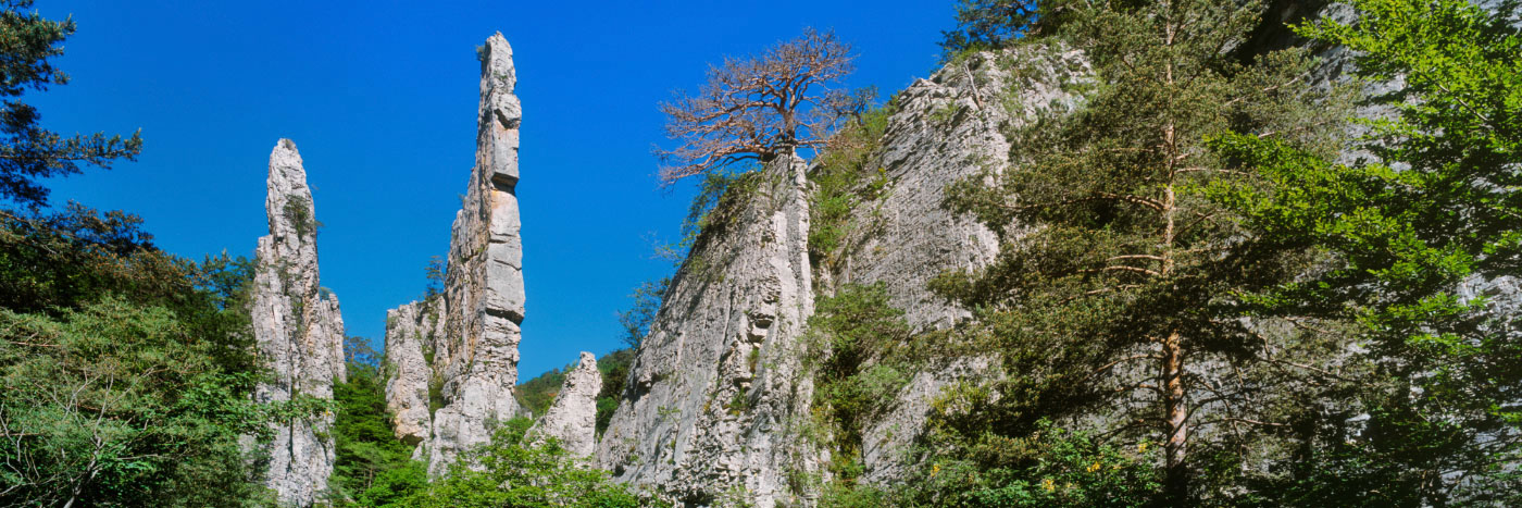 Herve Sentucq - Sucettes de Borne, Vercors