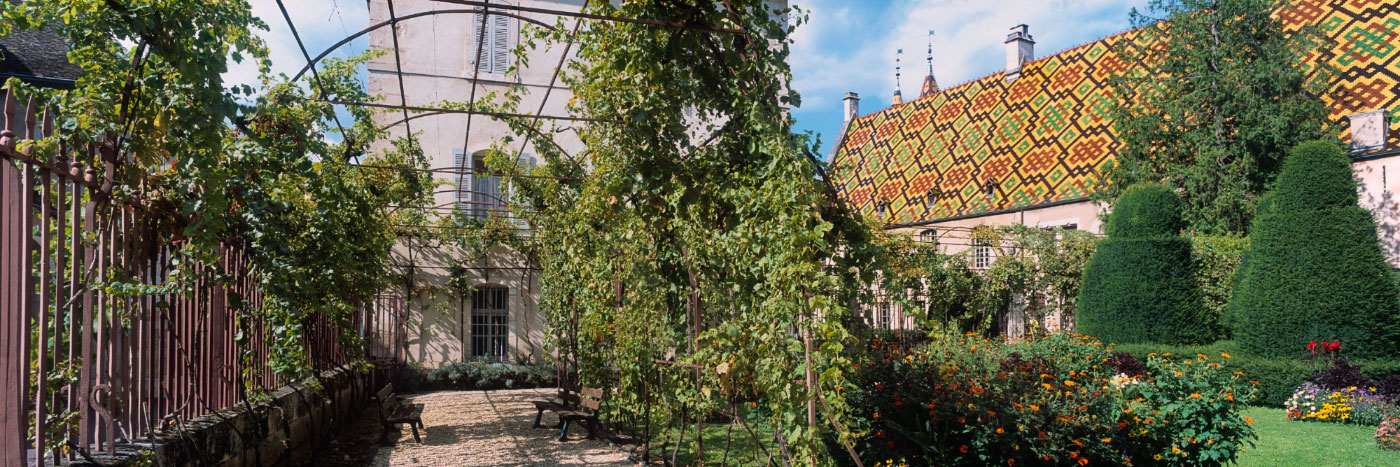 Herve Sentucq - Jardin des Hospices de Beaune