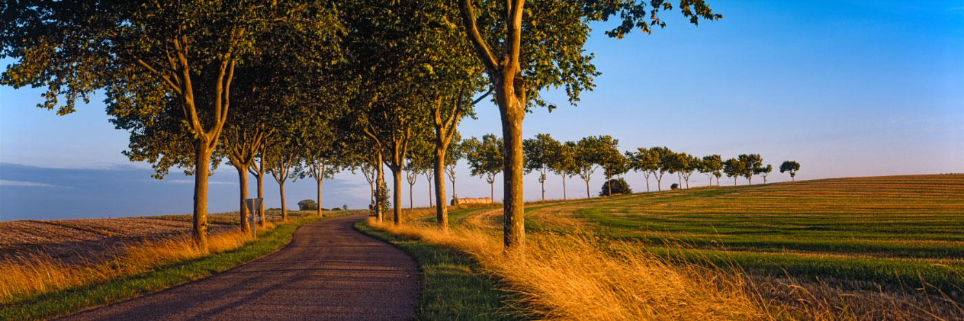 Herve Sentucq - Route vers Rouilly-Sacey