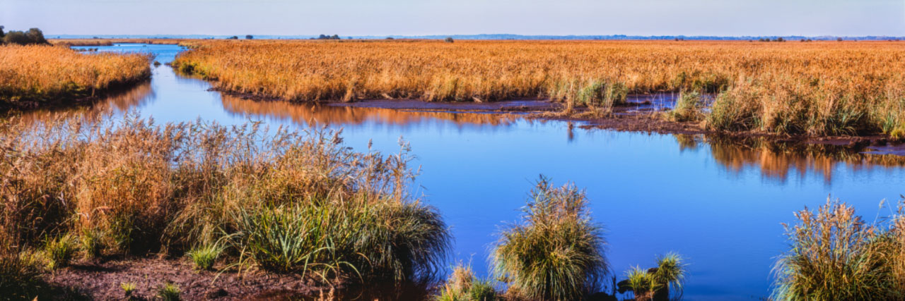 Herve Sentucq - Marais de Brière, côte Atlantique