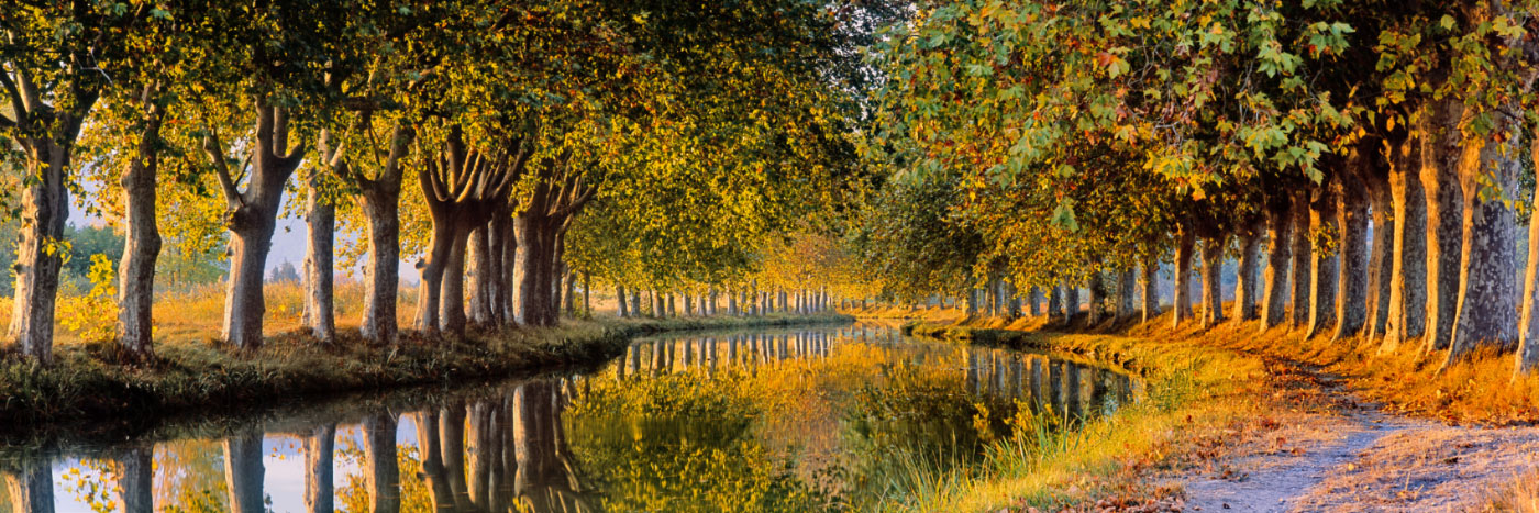 Herve Sentucq - Canal du Midi