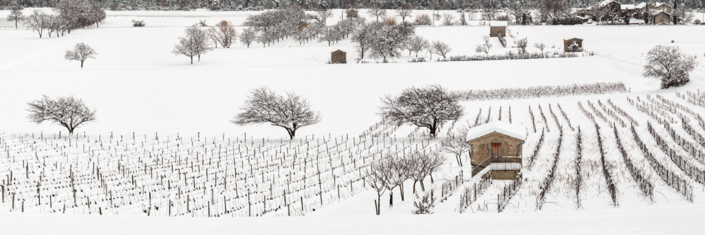 Herve Sentucq - Vignes et cabanons en hiver, Châtillon-en-Diois