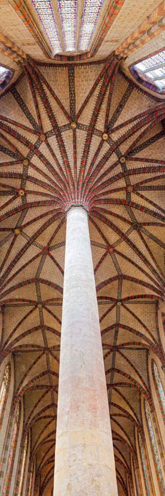 Herve Sentucq - Palmier des Jacobins, Toulouse