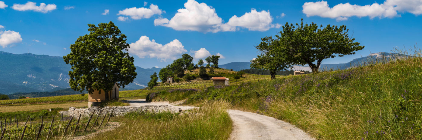 Herve Sentucq - Vignes et cabanons, Châtillon-en-Diois, Vercors