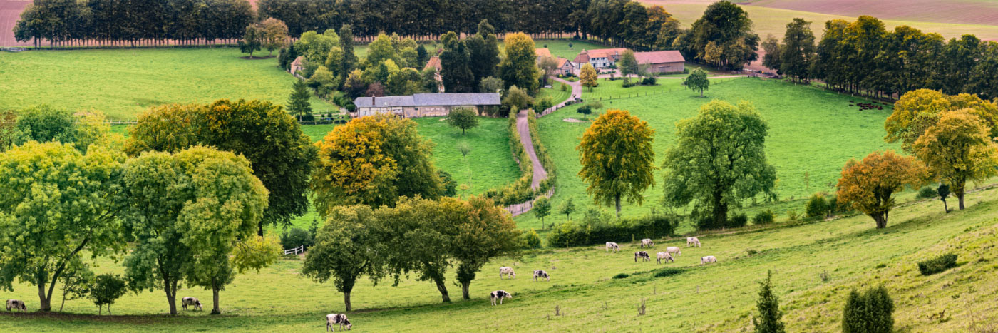 Herve Sentucq - Fond de Beauval, près de Croixdalle, Pays de Bray