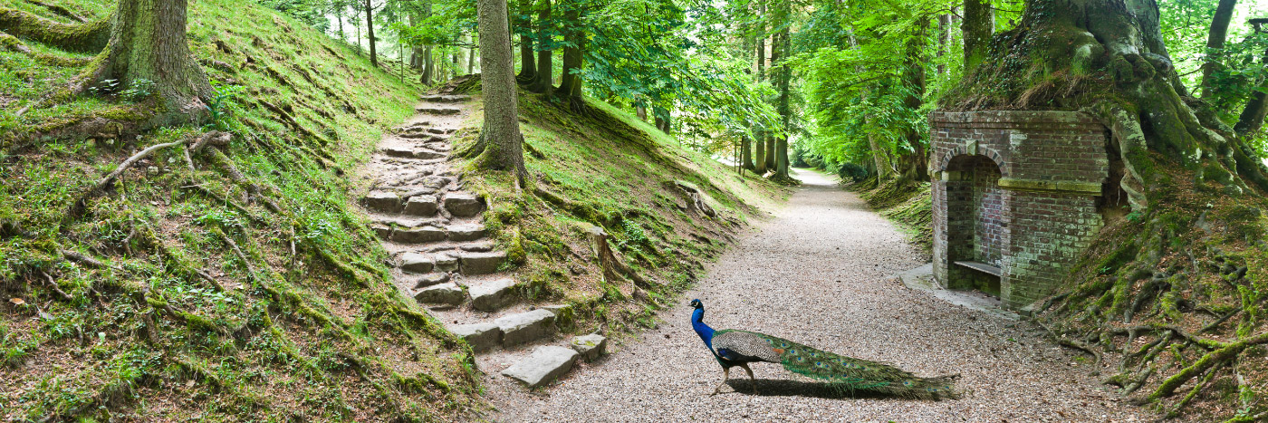 Herve Sentucq - Parc de Clères