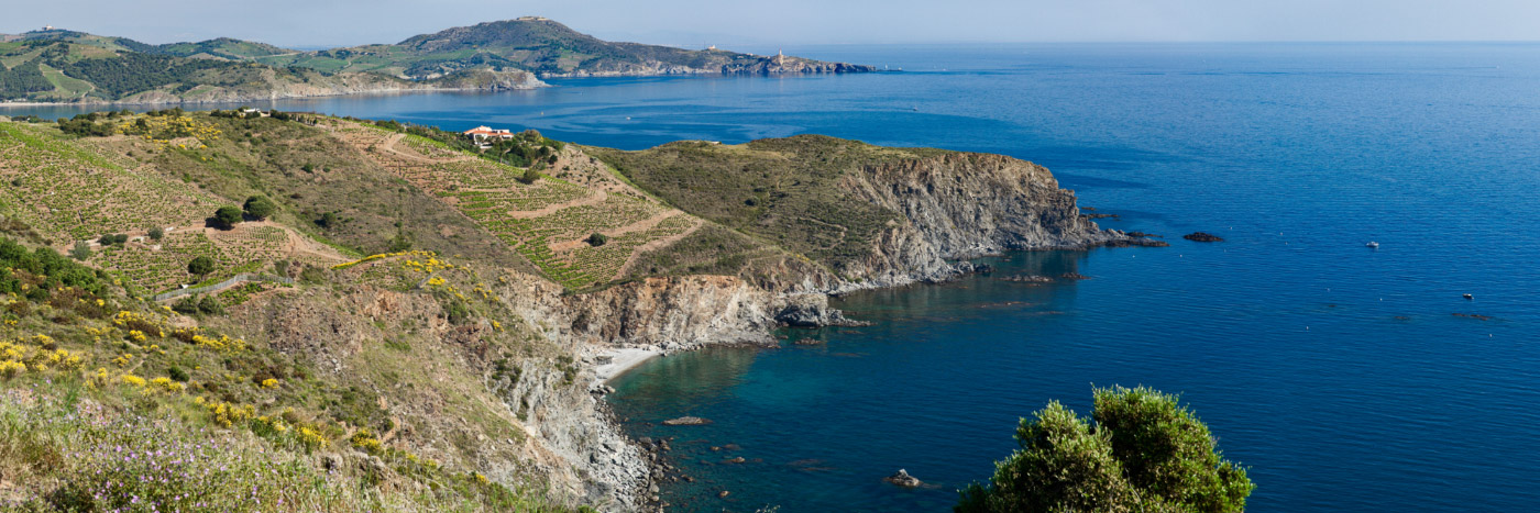 Herve Sentucq - Cap Rederis, Cerbère, côte Vermeille