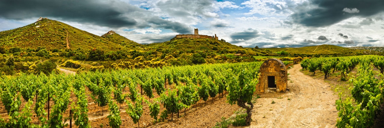 Herve Sentucq - Castellas de Montredon-des-Corbières