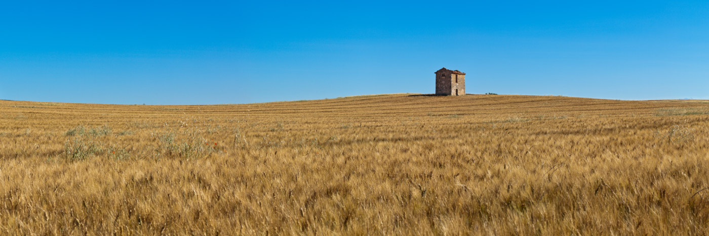 Herve Sentucq - Cabane dans un champ de céréales, plateau de Valensole