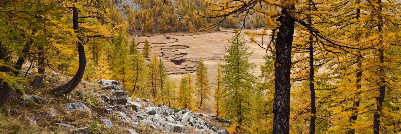 Herve Sentucq - Serpentine, plateau de Laus, près du lac d'Allos, Mercantour