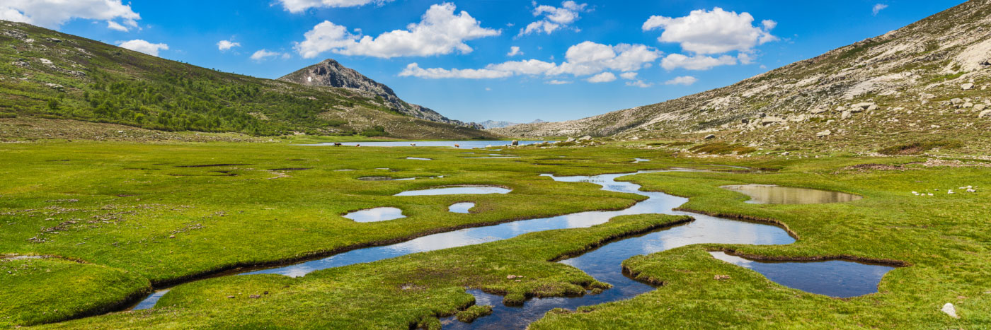 Herve Sentucq - Pozzines près du lac de Nino, 