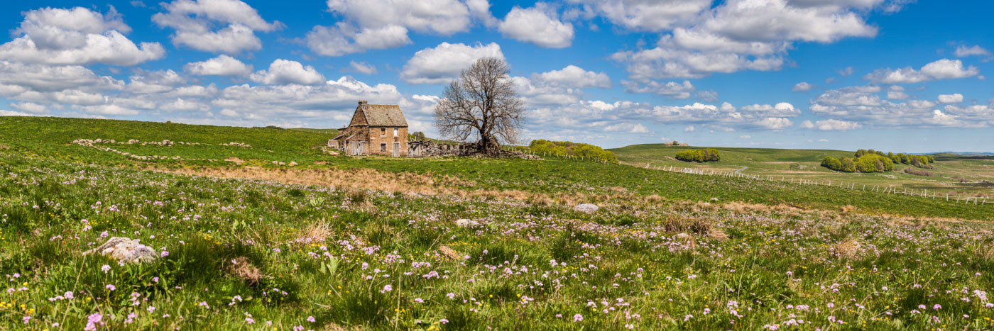 Herve Sentucq - Buron, Puech Mejio, Aubrac