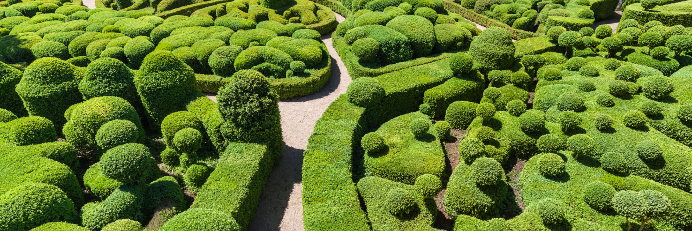 Herve Sentucq - Dédale de buis des jardins suspendus de Marqueyssac