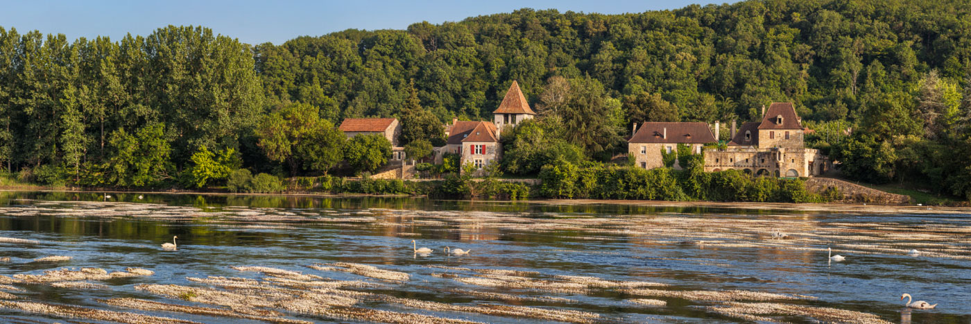 Herve Sentucq - Renoncules d'eau face à Pontours, près des îles aux cygnes