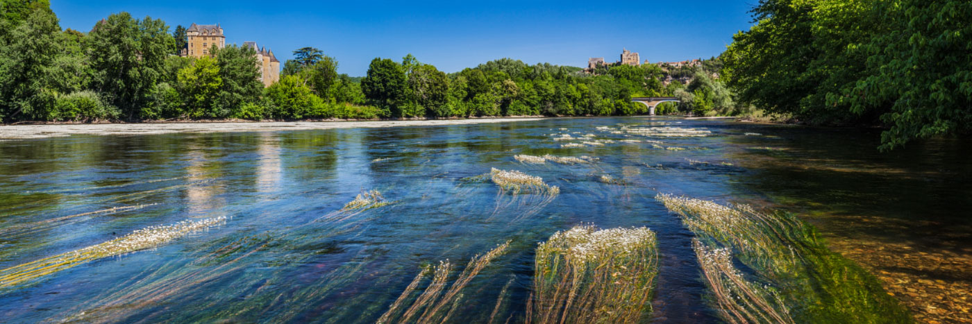 Herve Sentucq - Herbiers à renoncules sur la Dordogne à Vézac, avec les châteaux de Fayrac et de Beynac sur les coteaux 