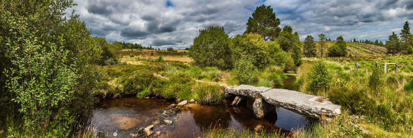 Herve Sentucq - Tourbière et landes du Pont la Pierre, Tarnac, plateau des Millevaches