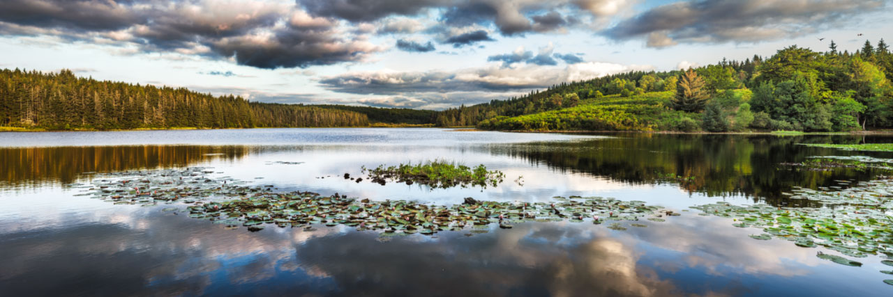 Herve Sentucq - Etang des Oussines, plateau de Millevaches