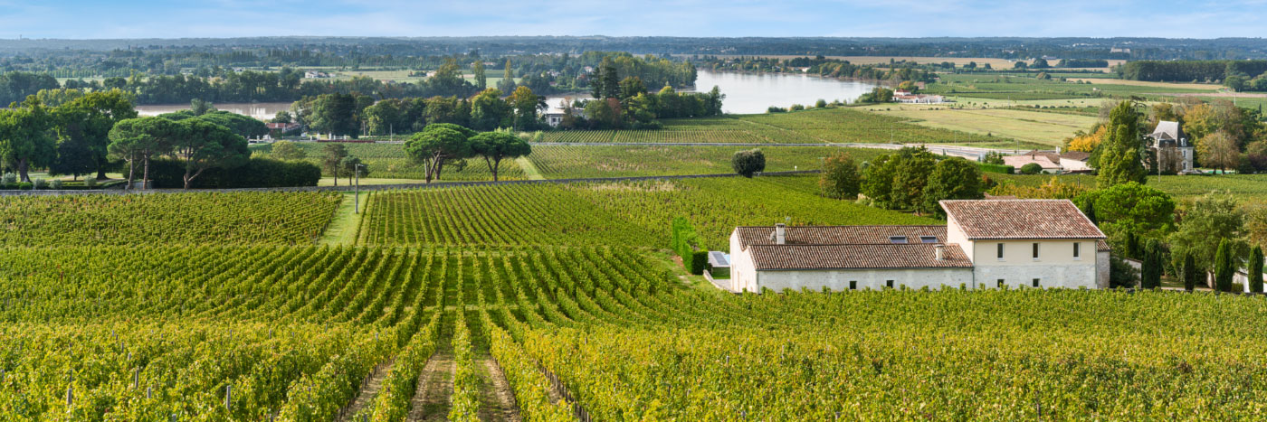 Herve Sentucq - La Dordogne bordée par les vignobles de Fronsac, libournais