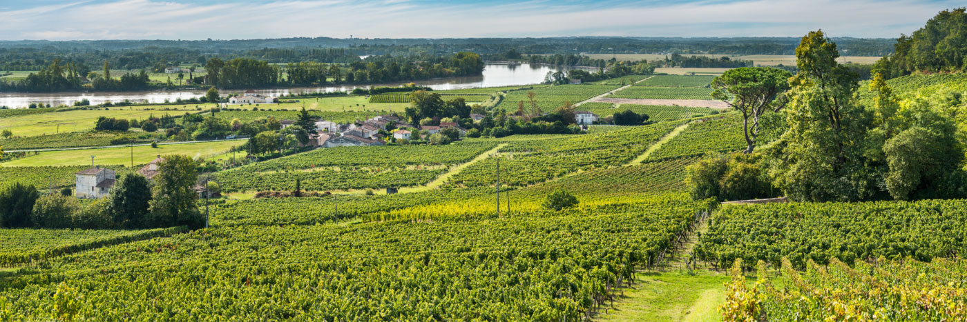 Herve Sentucq - La Dordogne bordée par les vignobles de Fronsac, libournais