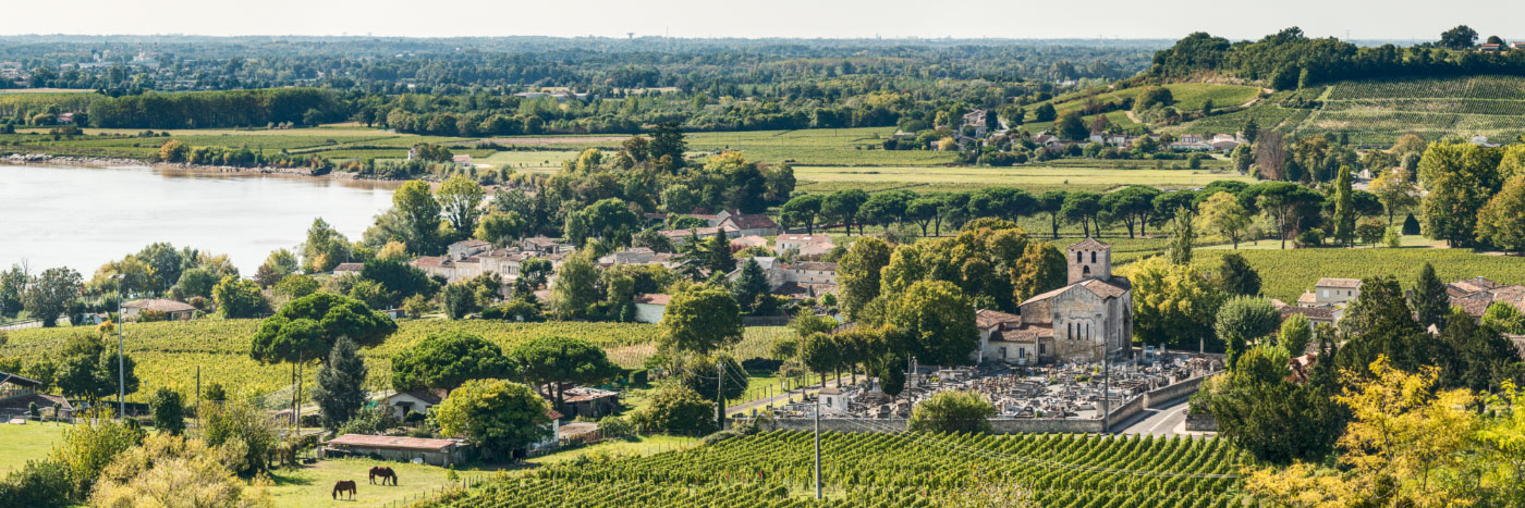 Herve Sentucq - La Dordogne, vue du tertre de Fronsac