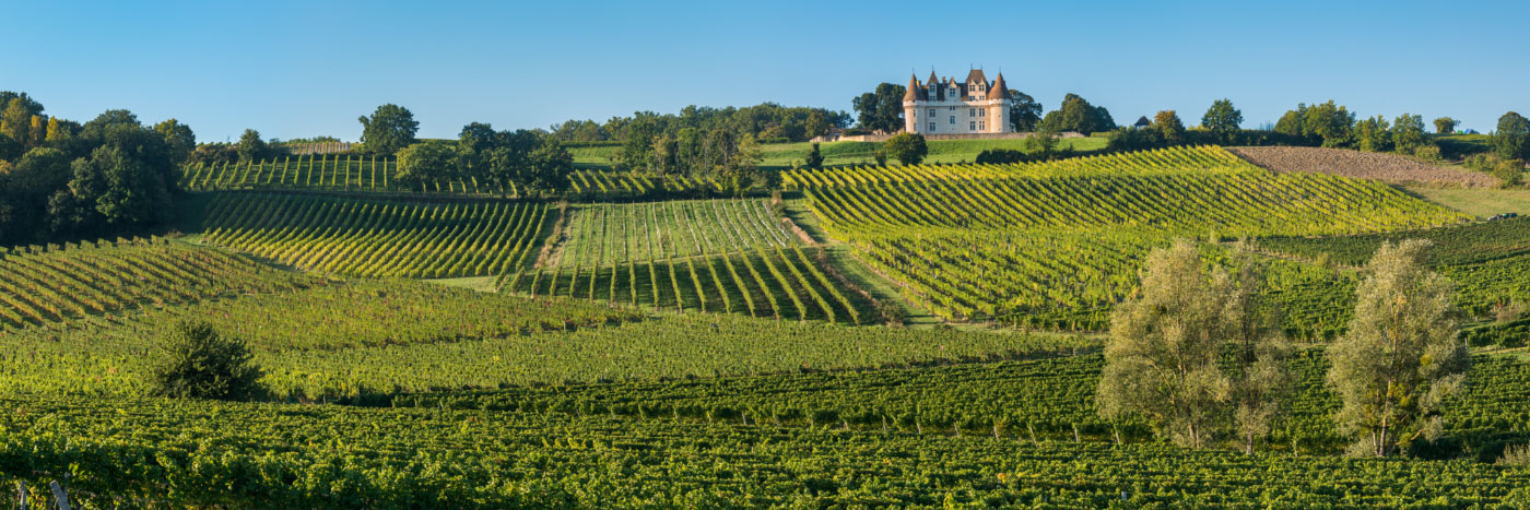 Herve Sentucq - Château et vignes de Monbazillac