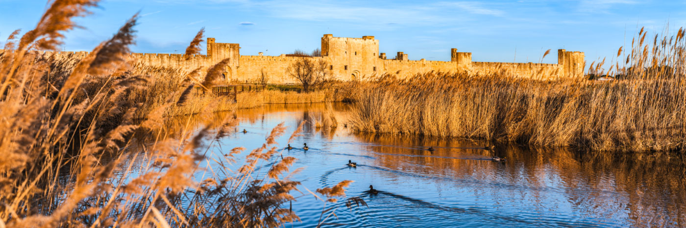 Herve Sentucq - Remparts d'Aigues-Mortes, Camargue