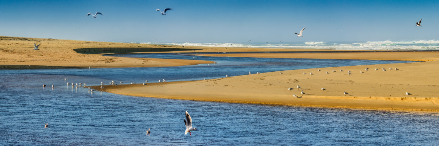 Herve Sentucq - Courant d'Huchet, Moliets-et-Maâ, côte Atlantique