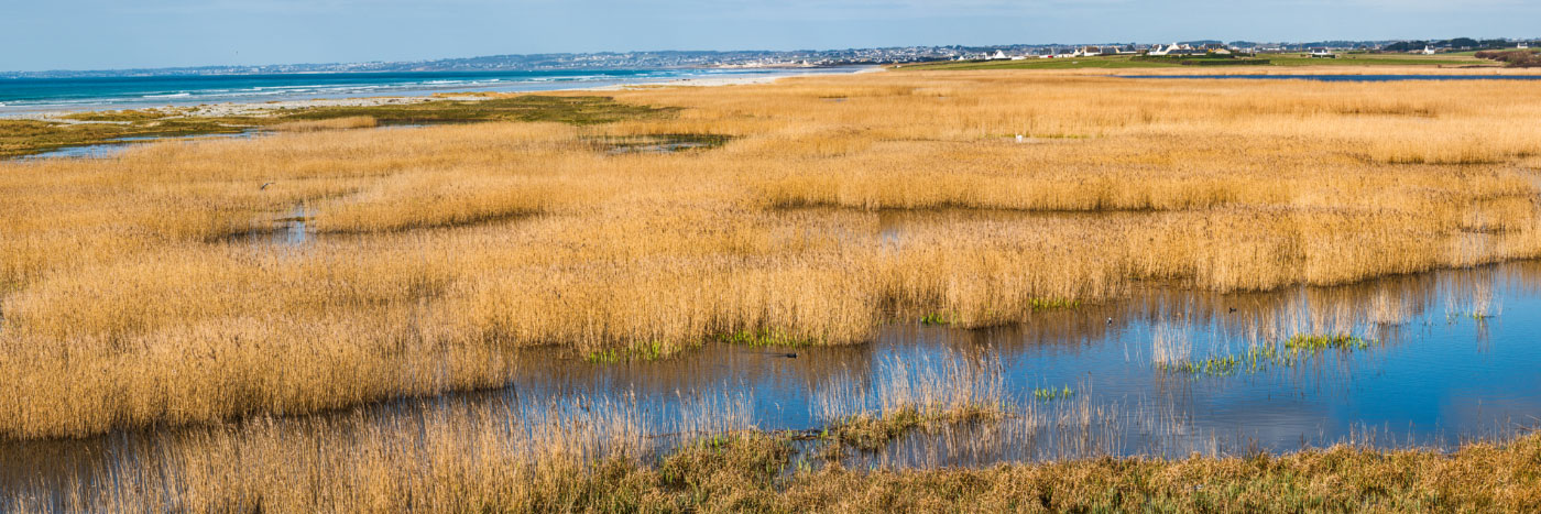 Herve Sentucq - Etang de Kergalan, baie d'Audierne, côte Atlantique