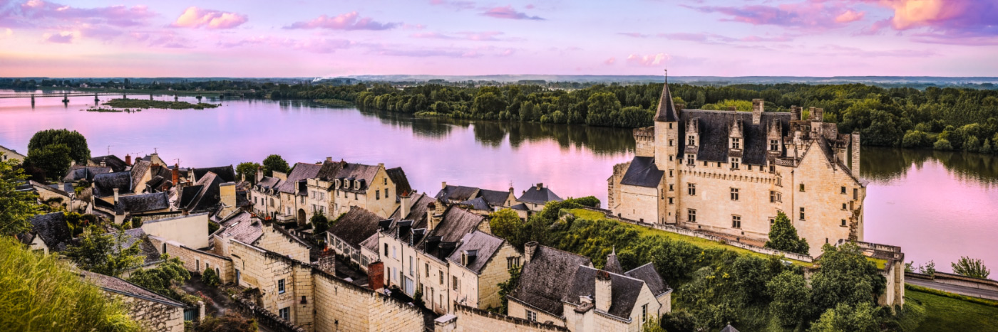 Herve Sentucq - Château et village de Montsoreau dominant la Loire