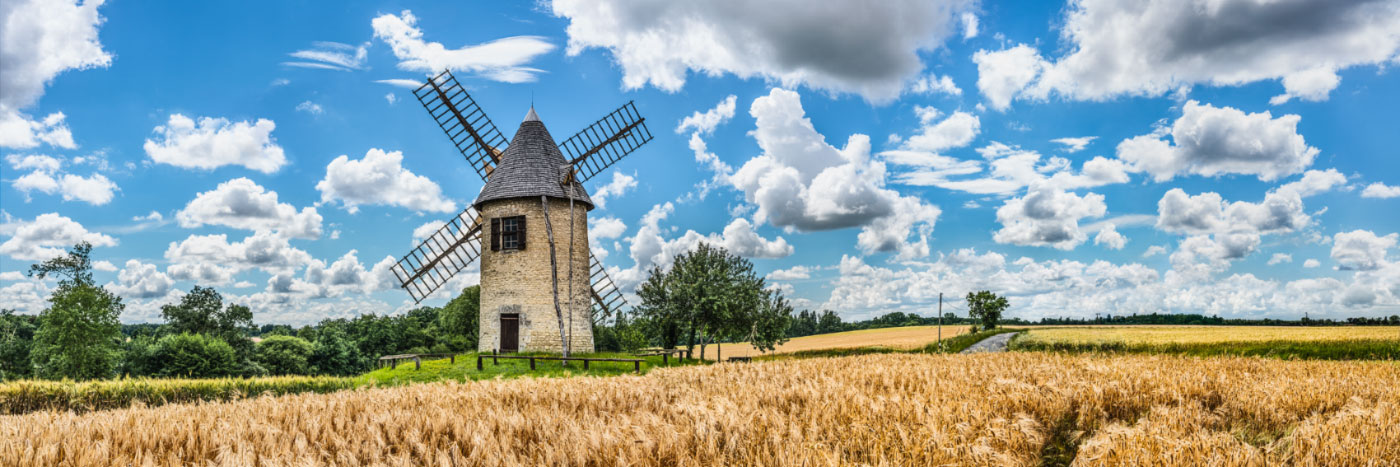 Herve Sentucq - Moulin de Jeannette, Saint-Ciers-Champagne, Saintonge