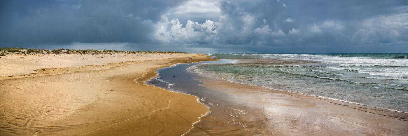 Herve Sentucq - La côte sauvage et la pointe du Rhin depuis la pointe de la Coubre, Les Mathes