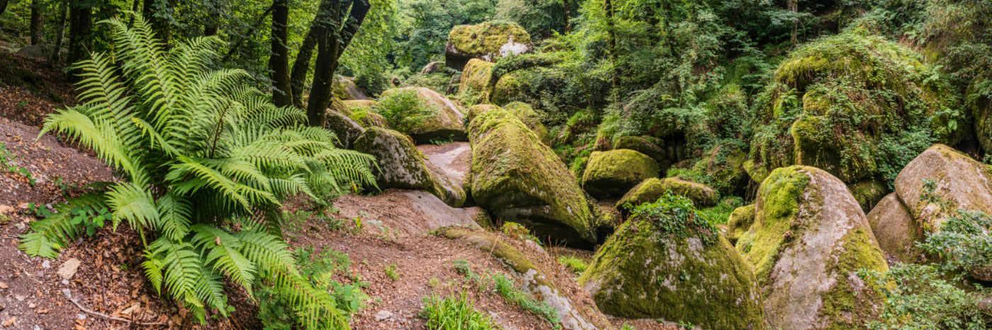 Herve Sentucq - Huelgoat, dans les monts d'Arrée, vestige de la mythique forêt de Brocéliande, Argoat