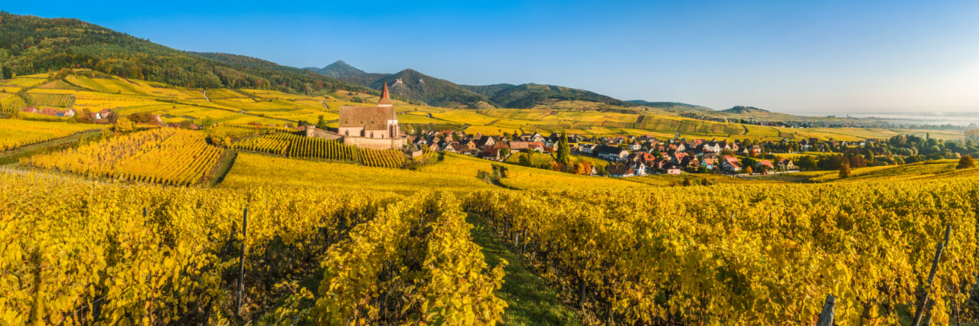 Herve Sentucq - Hunawihr, serti dans un écrin de vignes, Alsace