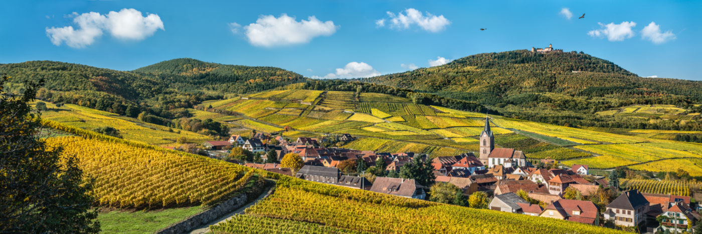 Herve Sentucq - Rodern, au pied du château de Haut-Koenigsbourg