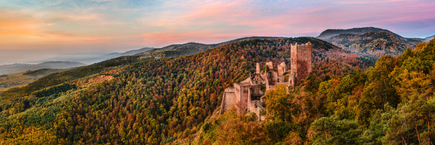 Herve Sentucq - Château de Saint-Ulrich dominant la plaine d'Alsace, Vosges