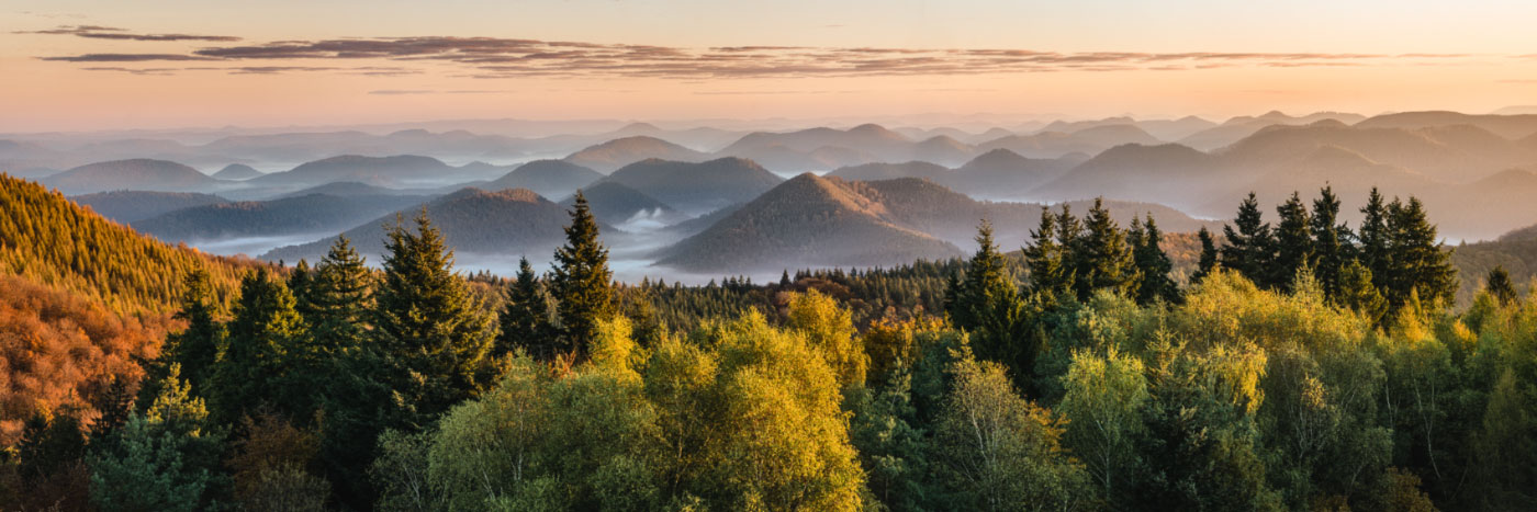 Herve Sentucq - Les Vosges du Nord depuis le belvédère du Grand Wintersberg (581 m), Alsace