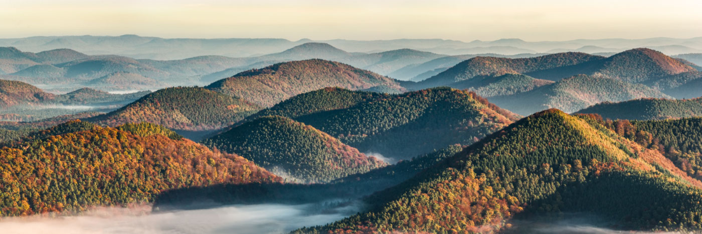 Herve Sentucq - Les Vosges du Nord depuis le belvédère du Grand Wintersberg