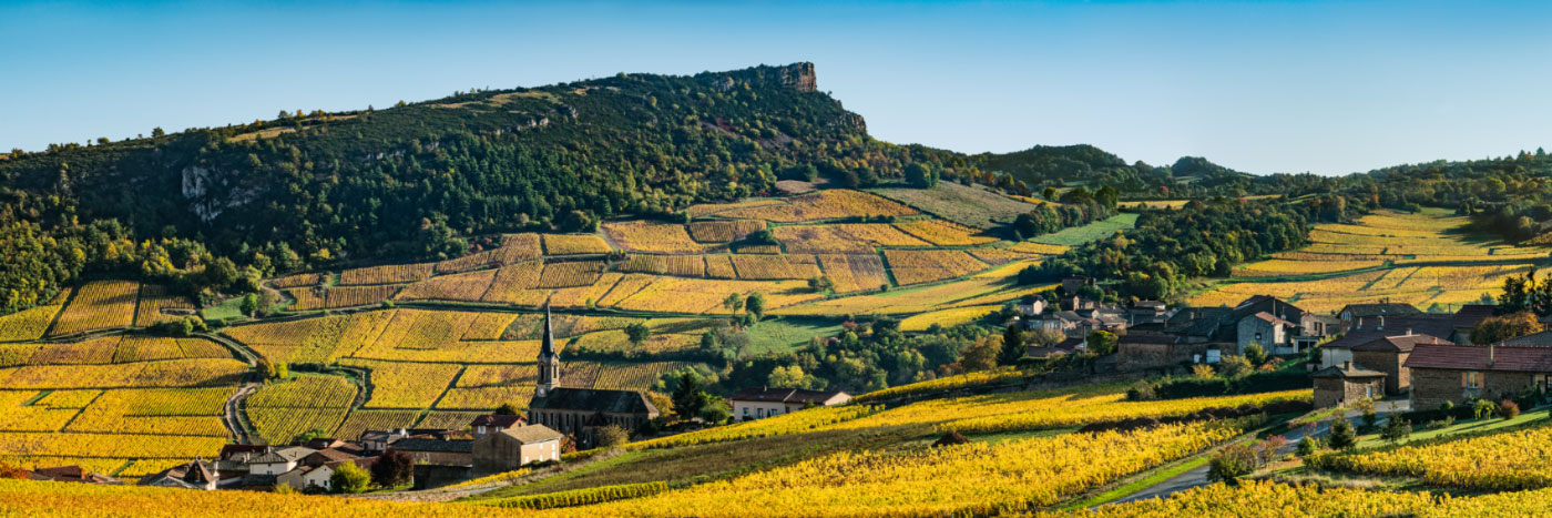 Herve Sentucq - Vergisson, dominé par la falaise de la Roche de Solutré