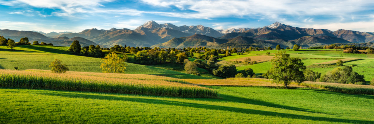 Herve Sentucq - Vue sur les Pyrénées depuis les pâturages d'Orignac