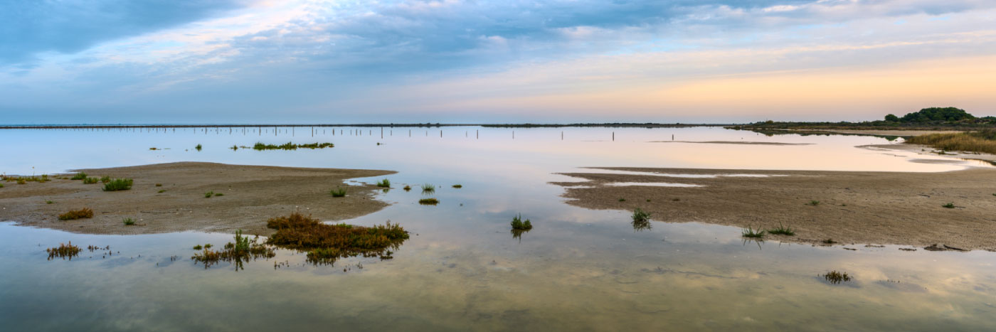 Herve Sentucq - Etangs près de Beauduc en Camargue, Arles