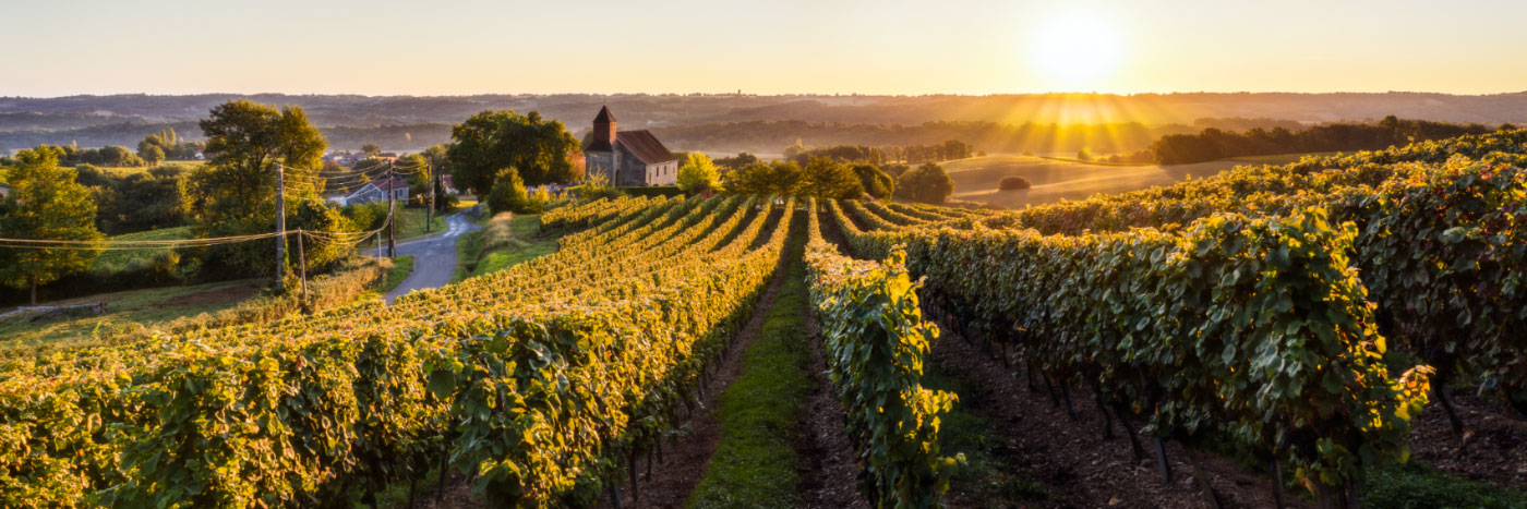 Herve Sentucq - Crouseilles, vignoble de Madiran, Béarn