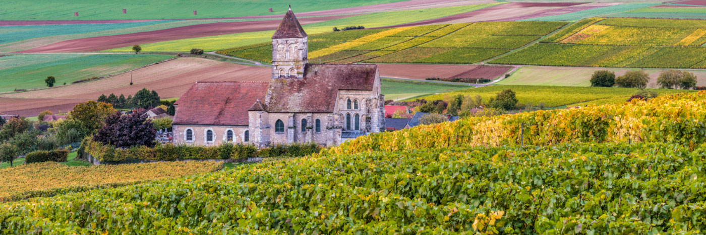 Herve Sentucq - Cuis, vignobles de la côte des Blancs au sud d'Epernay