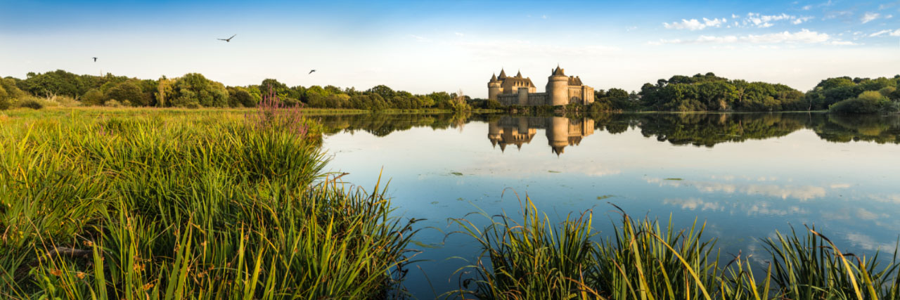 Herve Sentucq - Marais et château de Suscinio, presqu'île de Rhuys 