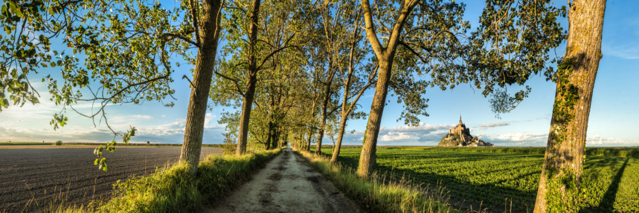 Herve Sentucq - Chemin bordé d'arbres, Mont-Saint-Michel